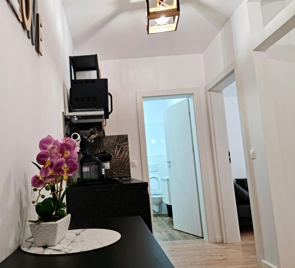 Apartament Antik No6 Alba Iulia Luaran gambar